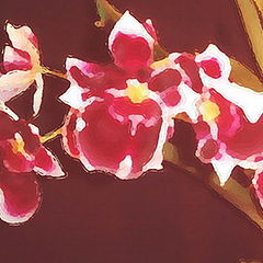 photo "Flower's paint"