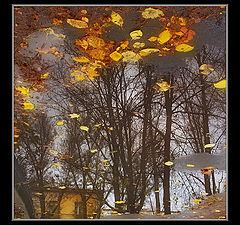 photo "Autumn in a city"