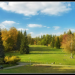 photo "Warmly Autumn park #5"