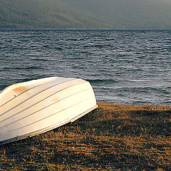 photo "alone in the wind"