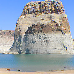 photo "At Play On The Shoreline of The Lone Rock"