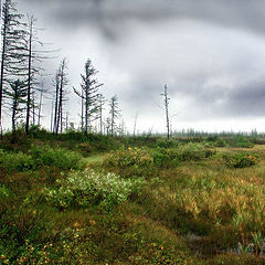 фото "Безвременье"