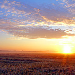 photo "Morning in steppe"