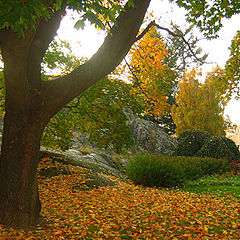 фото "Autumn in Helsinki"