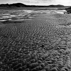 фото "on the beach"