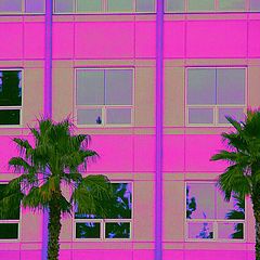 photo "Miami Vice"