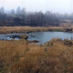 фото "Утро туманное."