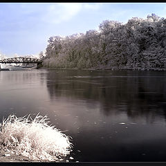 фото "the bridge"