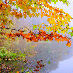 фото "an autumn day"