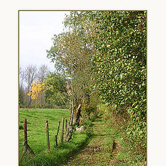 photo "A country road"