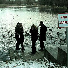фото "Осенняя картинка!-)))"