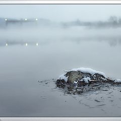 фото "Ноябрьское утро"