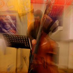 photo "Bass Player"