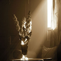 photo "Light in my house"