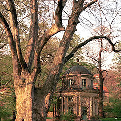 фото "English Pavillion"