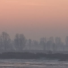 photo "Frosty dawn"