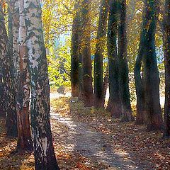 photo "Autumn in city"