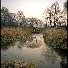 фото "Утро в ноябре (1)"