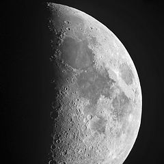 фото "Moon"