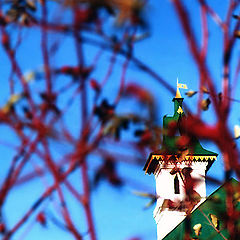 photo "Under the blue sky..."