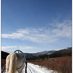 photo "Winter road"