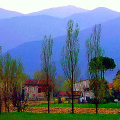 photo "Tuscan Homestead"