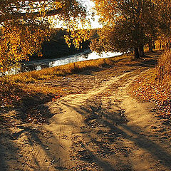 photo "road to an autumn"