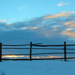 photo "Blue evening"