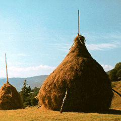 photo "two haystacks"