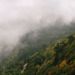 photo "Above clouds."