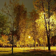 фото "осень...ночь.. электрический свет"