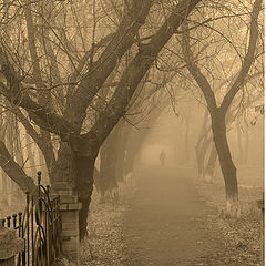 photo "Autumn path"