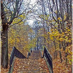 photo "In autumn park"