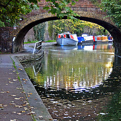 photo "The Canal Towpath"