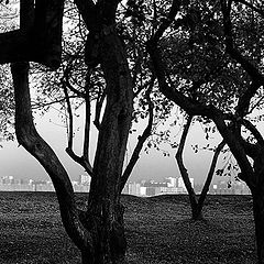 photo "Sit-round gathering above city"