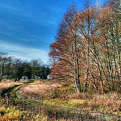 фото "the autumn view"