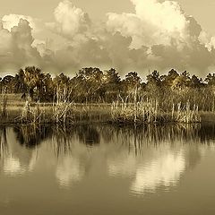 photo "The Pond in Duotone"