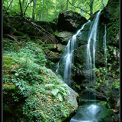photo "Waterfall"