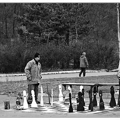 photo "Chess Players of the Fall"