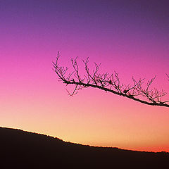 фото "Sunset in the Ozarks"