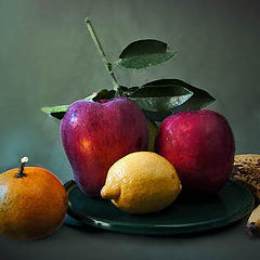 фото "still life with fruit"