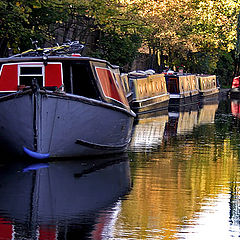 photo "Floating homes"