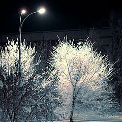 photo "Siberian Autum"