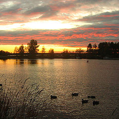 photo "Windy sunset"