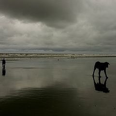 photo "In the sea shore"