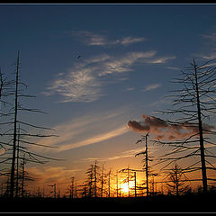 фото "Another Sunset in Tundra"