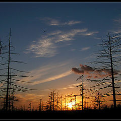 photo "Another Sunset in Tundra"