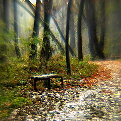 фото ""Скамейка из сказочного леса"/bench/"