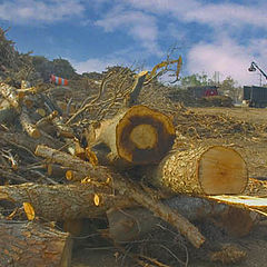 photo "Post katrina cleanup"