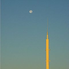 photo "Space Needle"